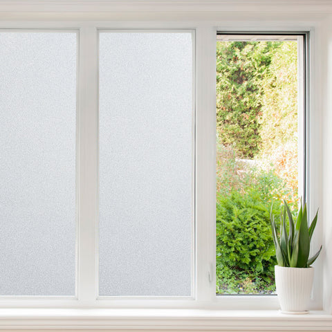 A window with a plant in it and a white frosted window, featuring Privacy Film Frost Main.